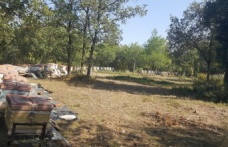 Üniversitenin zarar gören arı kovanları üretici desteğiyle yenilendi