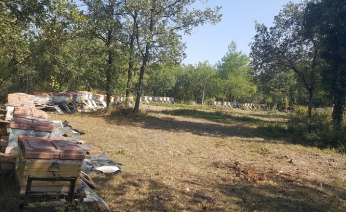 Üniversitenin zarar gören arı kovanları üretici desteğiyle yenilendi